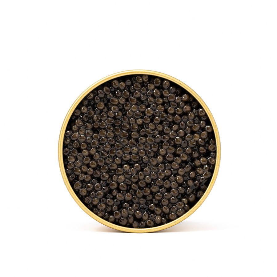 Caviar Matt Pasta kit