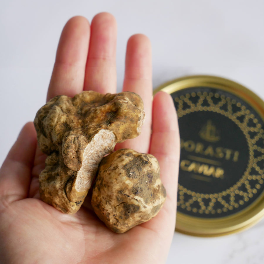 Italian Winter White Truffles